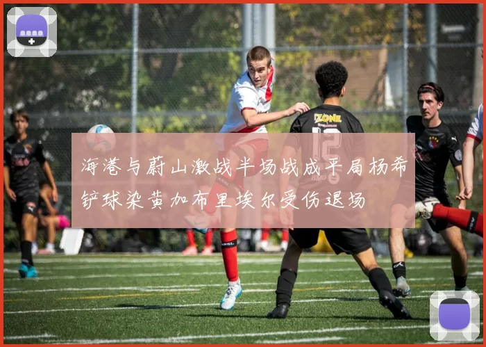 海港与蔚山激战半场战成平局杨希铲球染黄加布里埃尔受伤退场